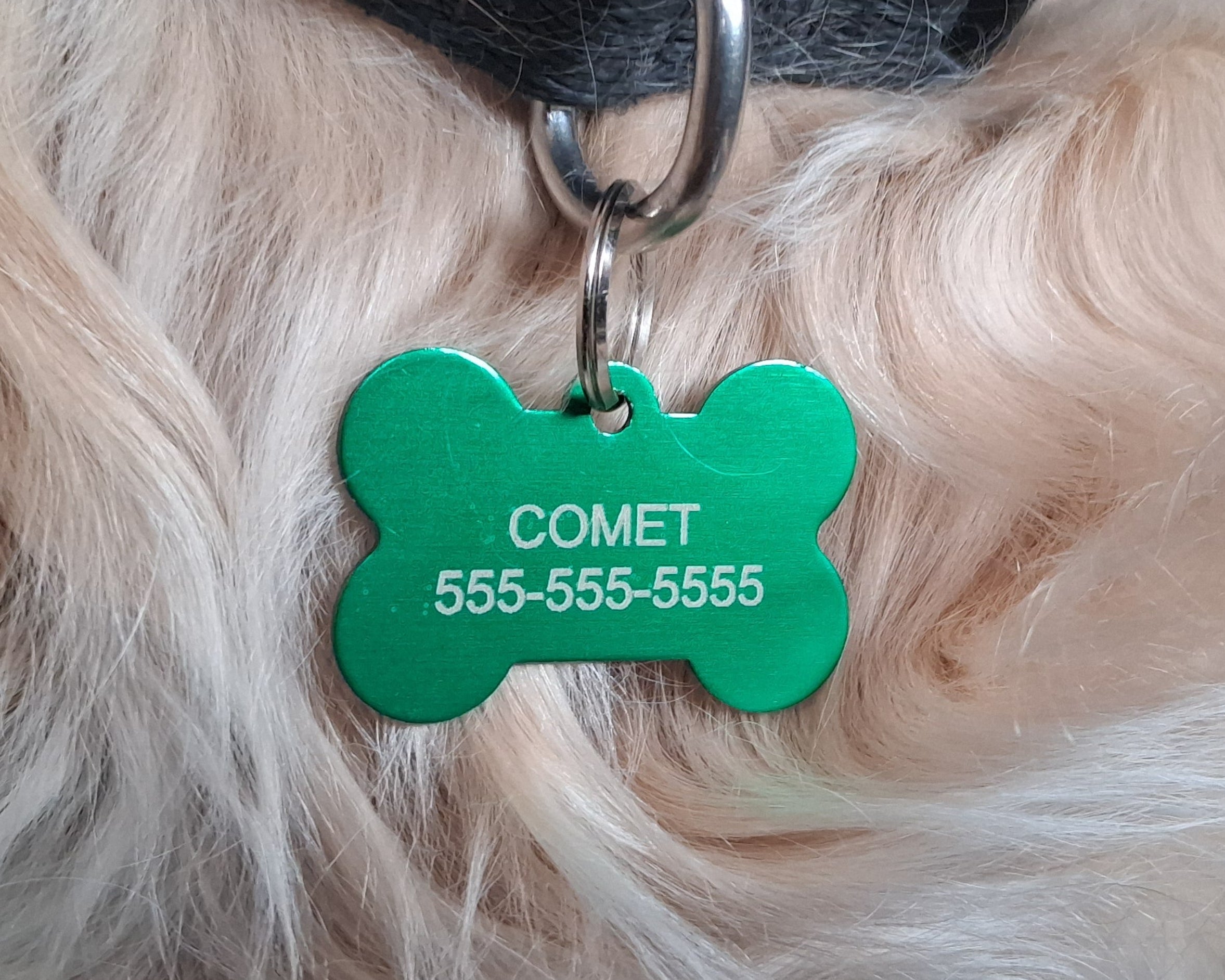 Custom laser engraved green bone shaped pet tag with 'COMET 555-555-5555' on a dog's collar.